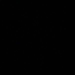 Meet your Posher, Caleb